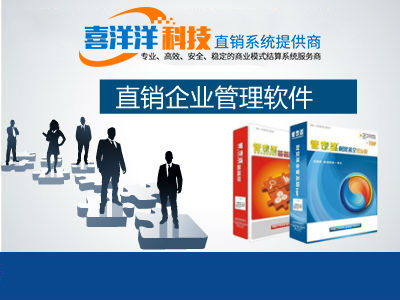 四維一體 軟件開發(fā)、技術開發(fā)、制度設計與企業(yè)營銷策劃融合的咨詢服務體系