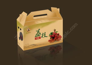 手提式與樂器包裝盒設(shè)計(jì) 探索結(jié)構(gòu)與美感融合的實(shí)用指南